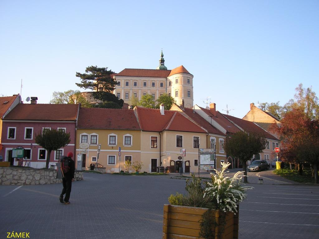 Penzion U Zabaka Mikulov Dış mekan fotoğraf