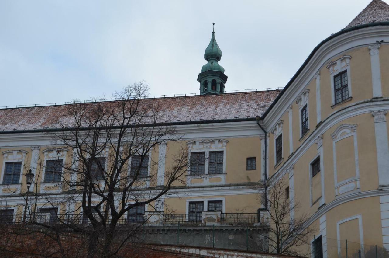 Penzion U Zabaka Mikulov Dış mekan fotoğraf