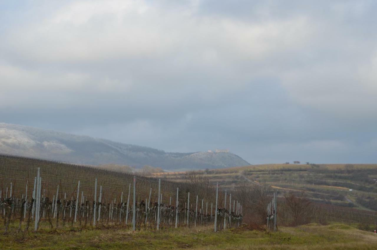 Penzion U Zabaka Mikulov Dış mekan fotoğraf