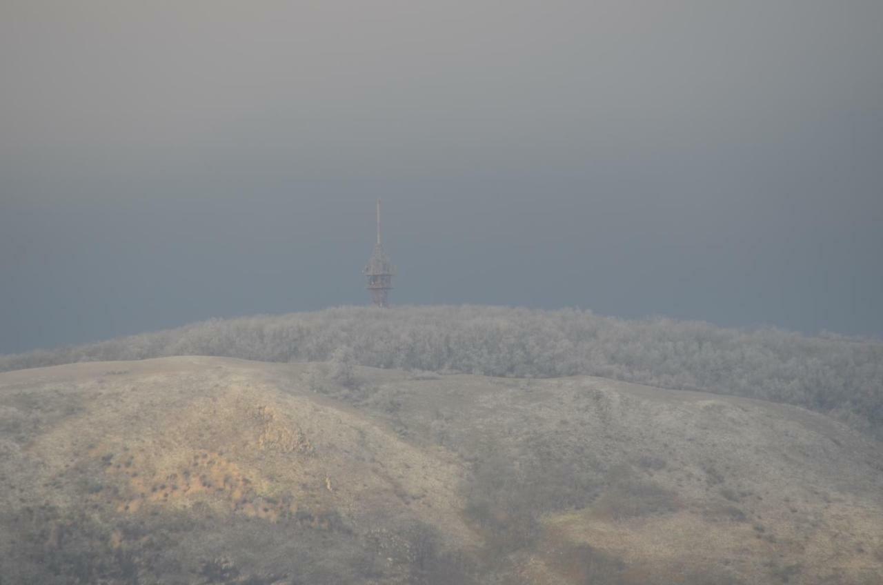 Penzion U Zabaka Mikulov Dış mekan fotoğraf