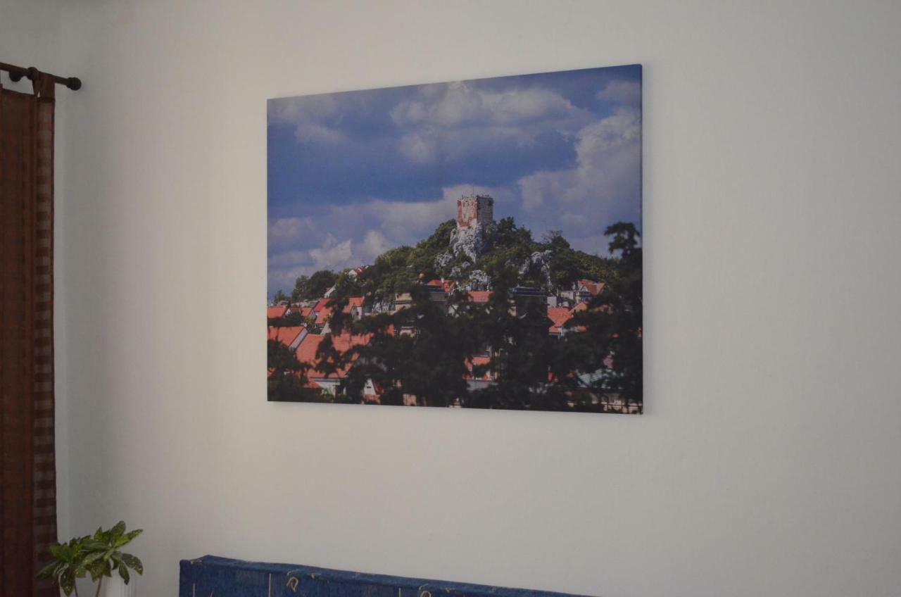 Penzion U Zabaka Mikulov Dış mekan fotoğraf