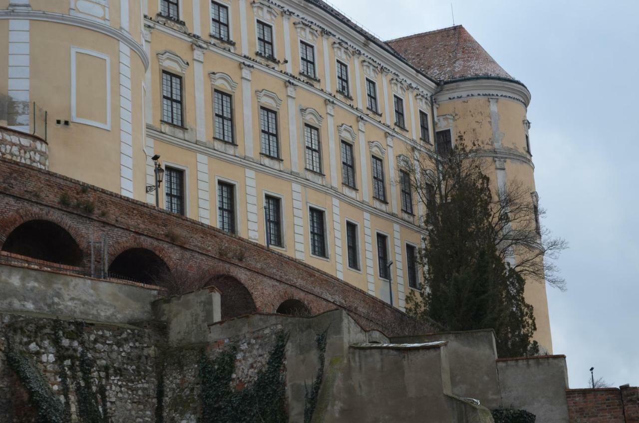 Penzion U Zabaka Mikulov Dış mekan fotoğraf